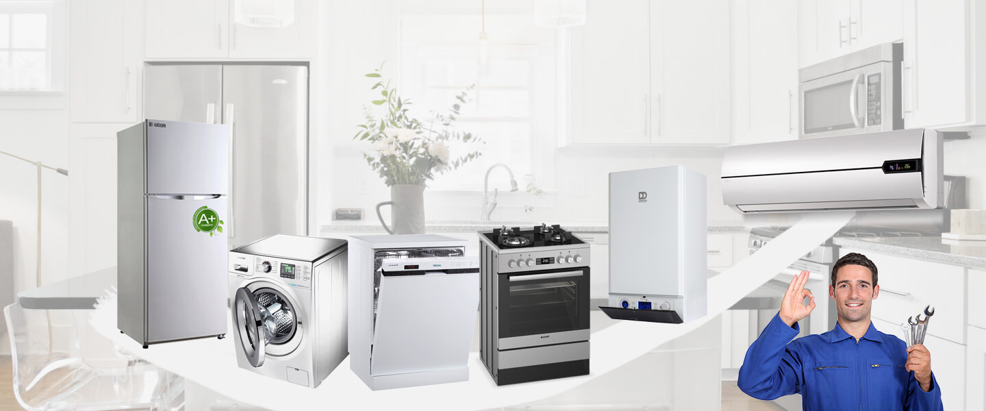 Erzincan Grundig Servisi
